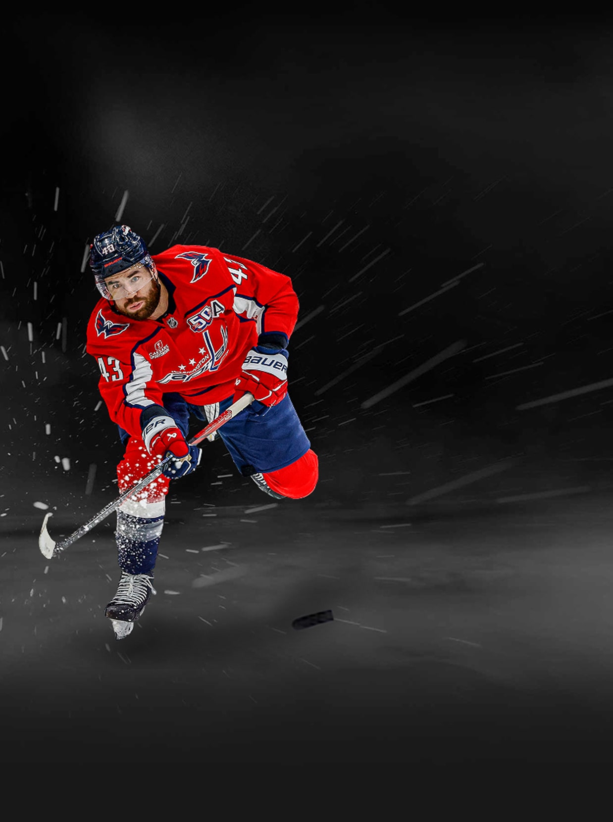 NHL hockey player mobile